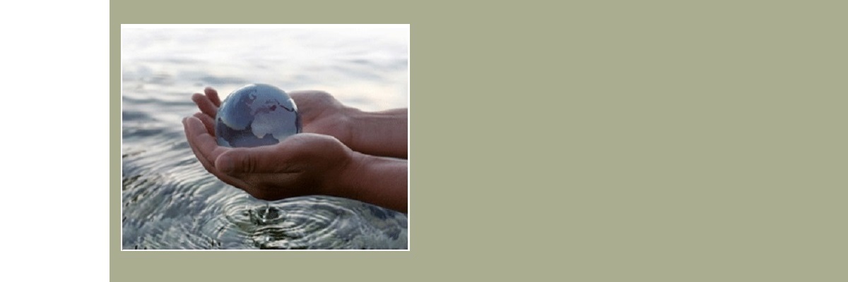 MyGreenScore Renewable Energy Conservation Green Technology Green Social Networking